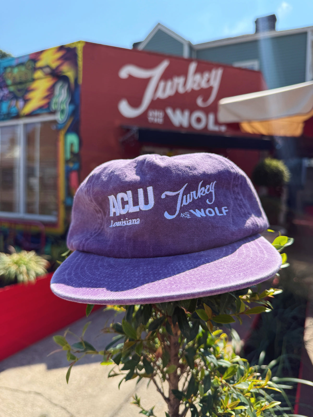 ACLU x TURKEY HAT